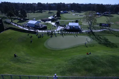 DSC_0725 (Large).JPG